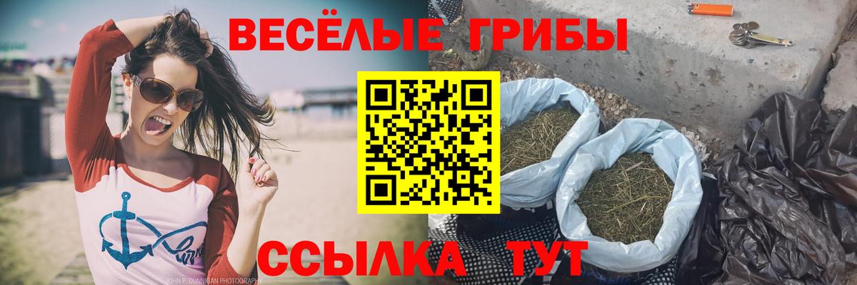 Галлюциногенные грибы Cubensis  Вход с VPN  Северск 